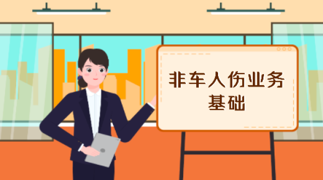 非车人伤业务基础